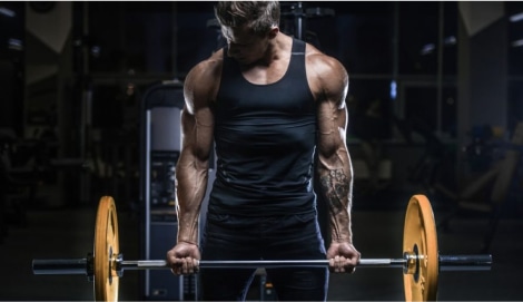 Guide des competitions de bodybuilding et fitness